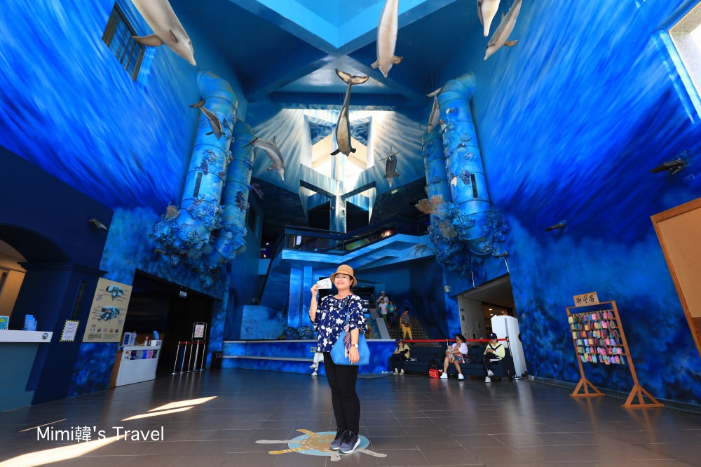 澎湖景點 澎湖水族館 波浪海堤 鯊魚餵食秀 海底隧道 內外好玩必拍亮點大公開 Mimi韓の旅遊生活