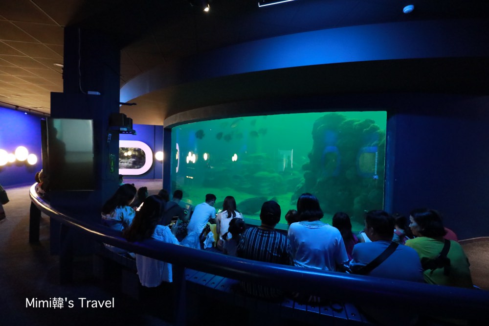 澎湖景點 澎湖水族館 波浪海堤 鯊魚餵食秀 海底隧道 內外好玩必拍亮點大公開 Mimi韓の旅遊生活