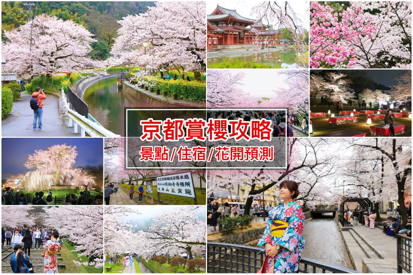 【京都櫻花景點】2020熱門10個京都賞櫻景點＆櫻花滿開預測，交通＆住宿分享