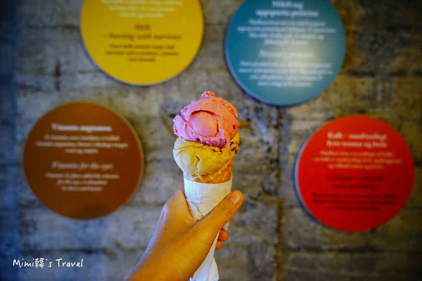 【冰島金圈美食】EfstiDalur II 農場：冰淇淋香甜美味，民宿也有高評價
