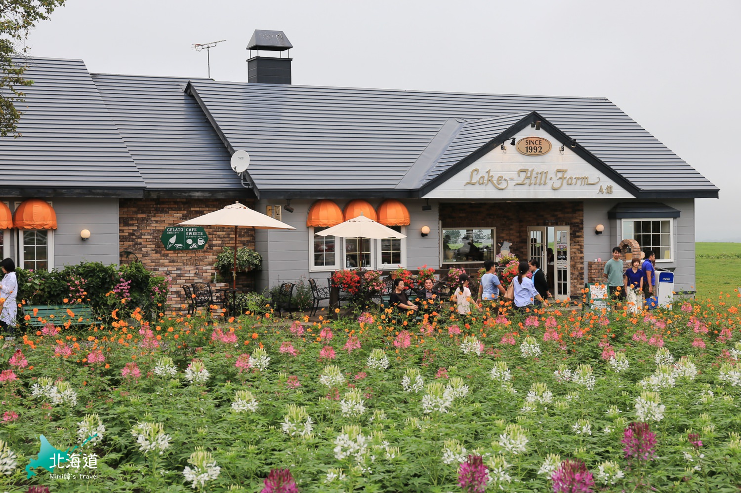 北海道｜Lake hill farm：洞爺湖畔花園牧場冰淇淋，悠閒親子美食景點