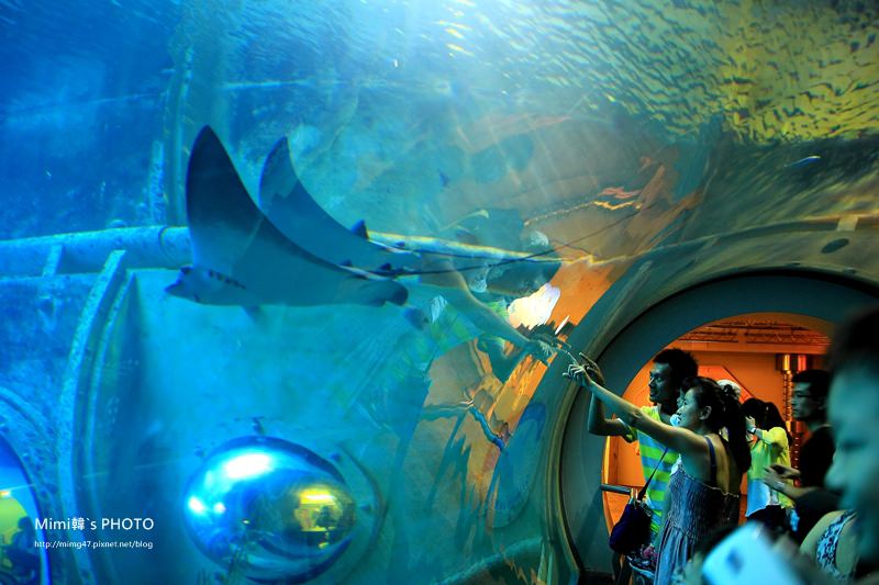 【墾丁景點】海洋生物博物館：便宜門票＆夜宿海生館預約，三大展區與超歡樂戲水池