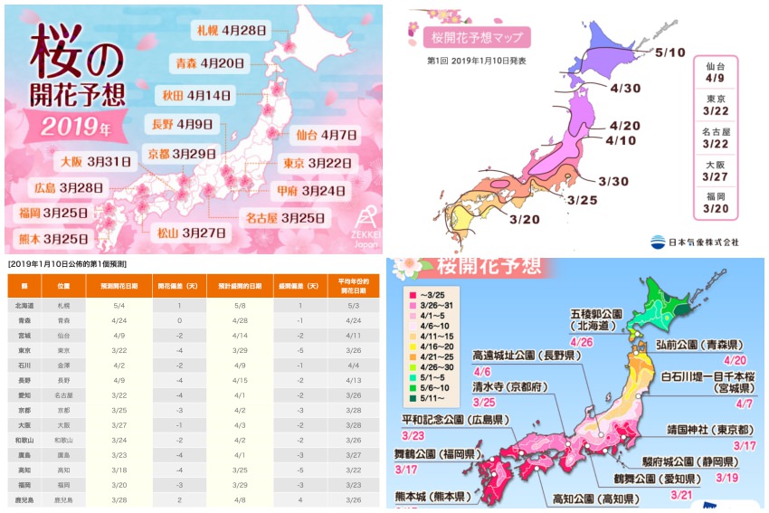 2020日本櫻花預測情報＆日本櫻花何時開？ 日本賞櫻季花開、滿開情報持續更新中！
