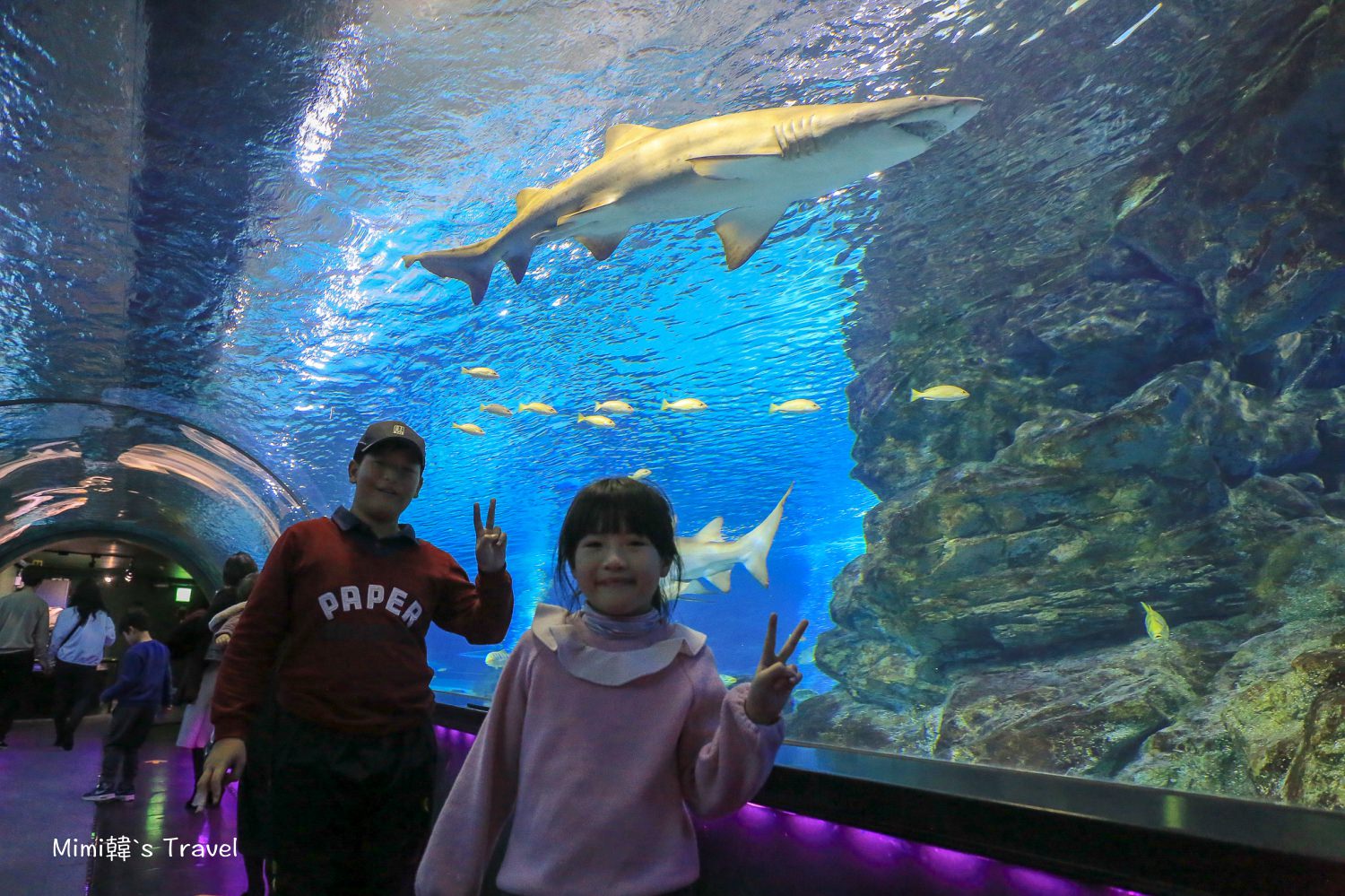【首爾】COEX AQUARIUM 水族館：交通＆便宜門票建議，超棒親子景點＆雨天備案