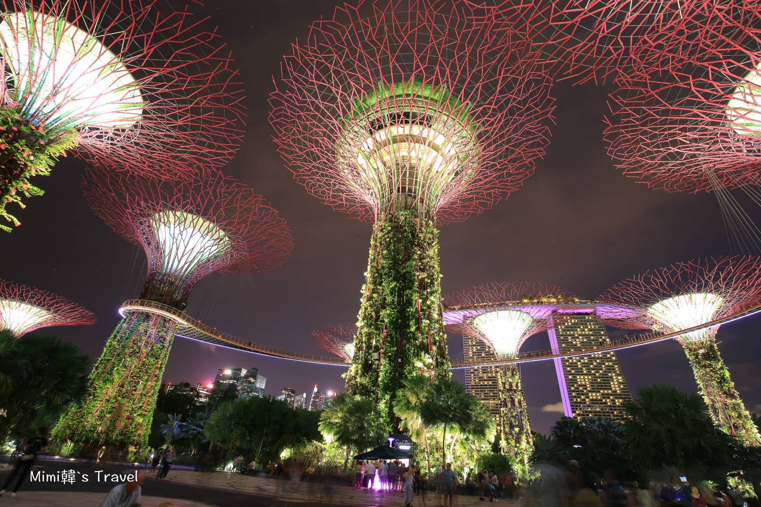 【新加坡濱海灣花園】超級樹燈光秀、雲霧林＆花穹重點攻略！門票、建議時間路線安排