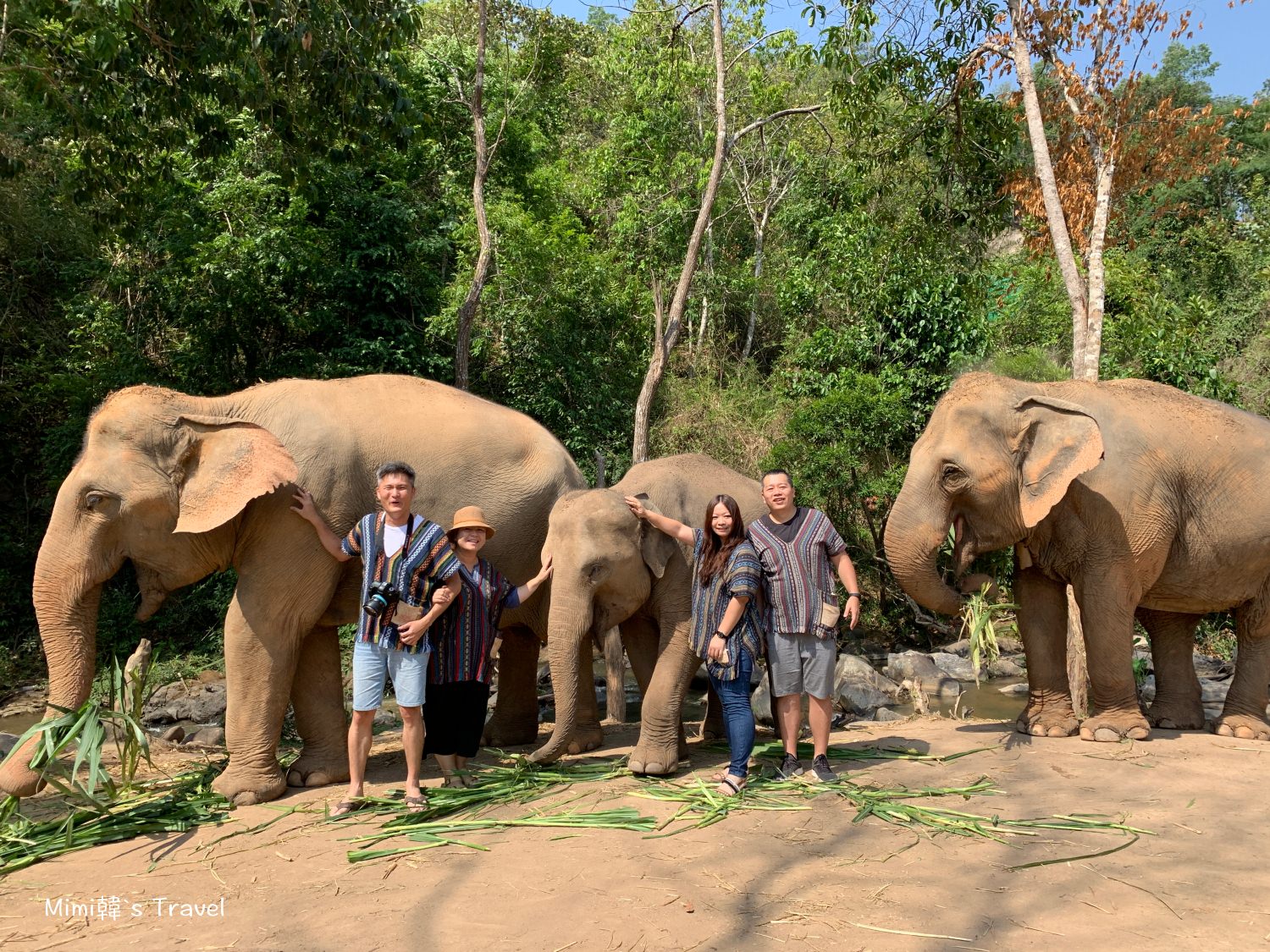 泰國清邁「大象體驗營」陪大象洗澡玩泥巴，近距離接觸超療癒，清邁最夯熱門玩法！