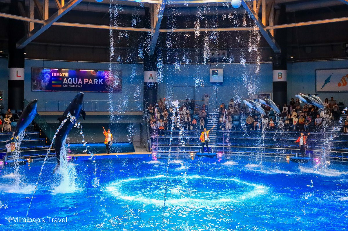 【東京】品川水族館 Maxell Aqua Park 超夢幻聲光海洋世界，門票＆表演時間彙整