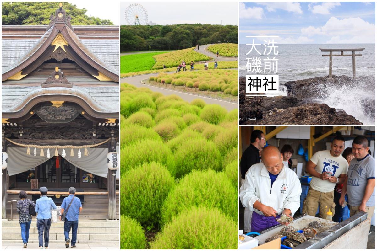 【茨城一日遊】東京出發！日立海濱公園掃帚草、大洗磯前神社、珂湊漁市場這樣玩