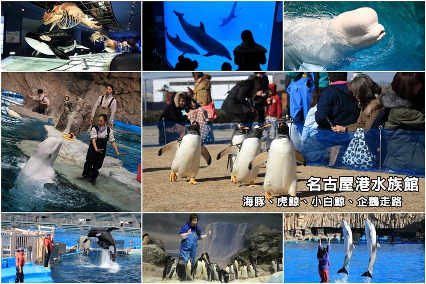【名古屋景點】名古屋港水族館：海豚虎鯨小白鯨超可愛，看企鵝走路好療癒，玩整天也沒問題。