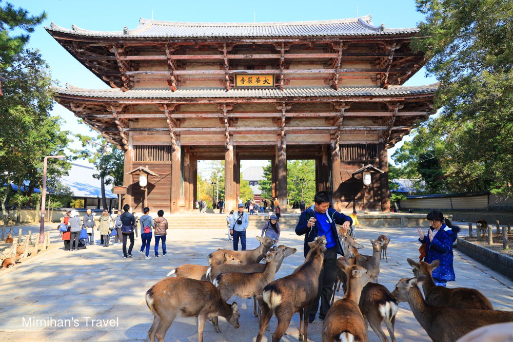 【奈良自由行】10大奈良景點旅遊路線＆交通提案攻略：奈良一日遊二日遊這樣玩！