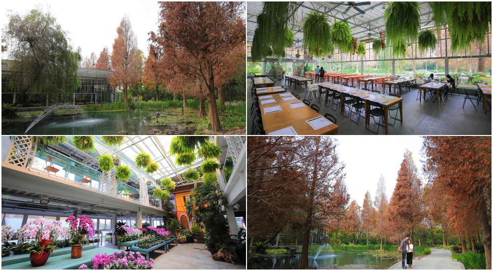【彰化景點】菁芳園綠生活：超美落羽松玻璃花房咖啡廳，彰化IG打卡熱點