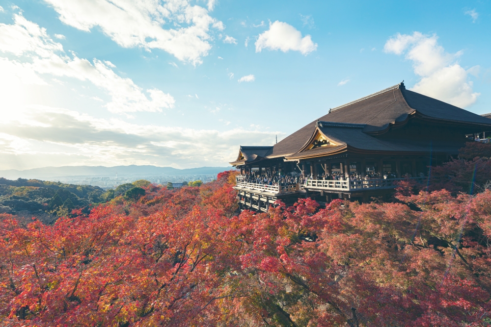 【2023京都清水寺】最新開放時間門票價格、和服體驗＆一日遊散步路線攻略