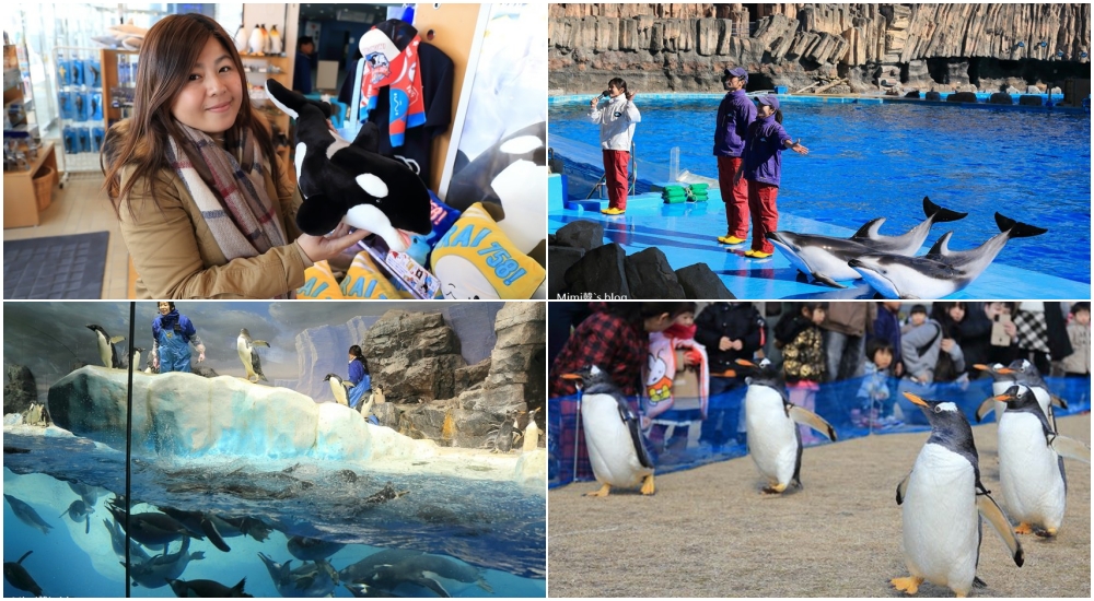【名古屋景點】名古屋港水族館：海豚虎鯨小白鯨超可愛，看企鵝走路好療癒！
