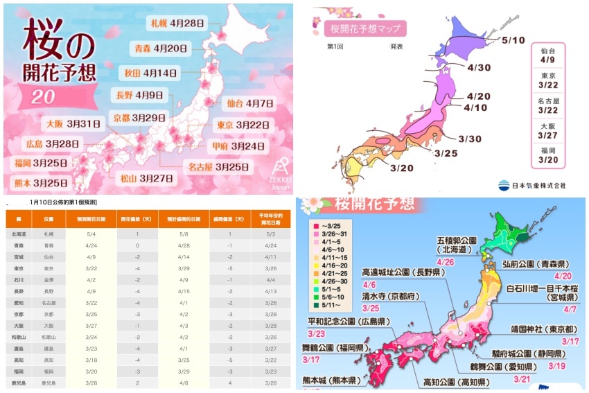 【2023日本櫻花預測】日本櫻花何時開？ 最新花開滿開情報更新中！