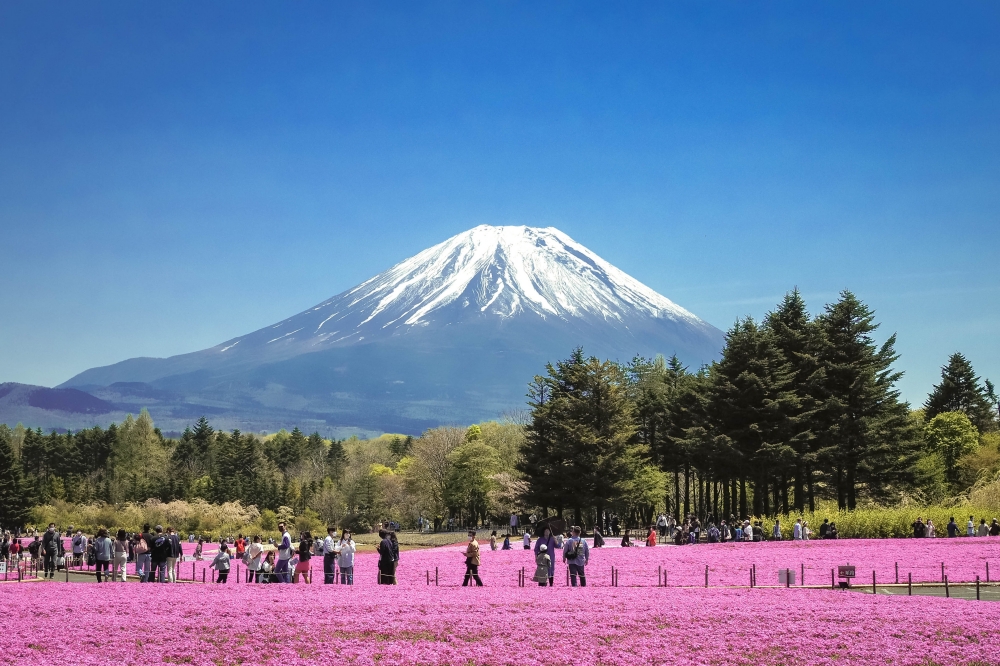 74％以上節約 富士山 八十八景 ecousarecycling.com