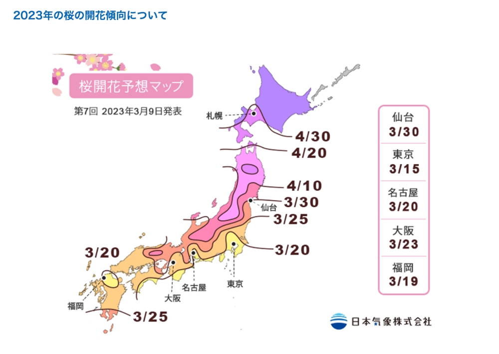 【2023日本櫻花預測】日本櫻花季賞櫻情報更新＆賞櫻行程安排重點攻略