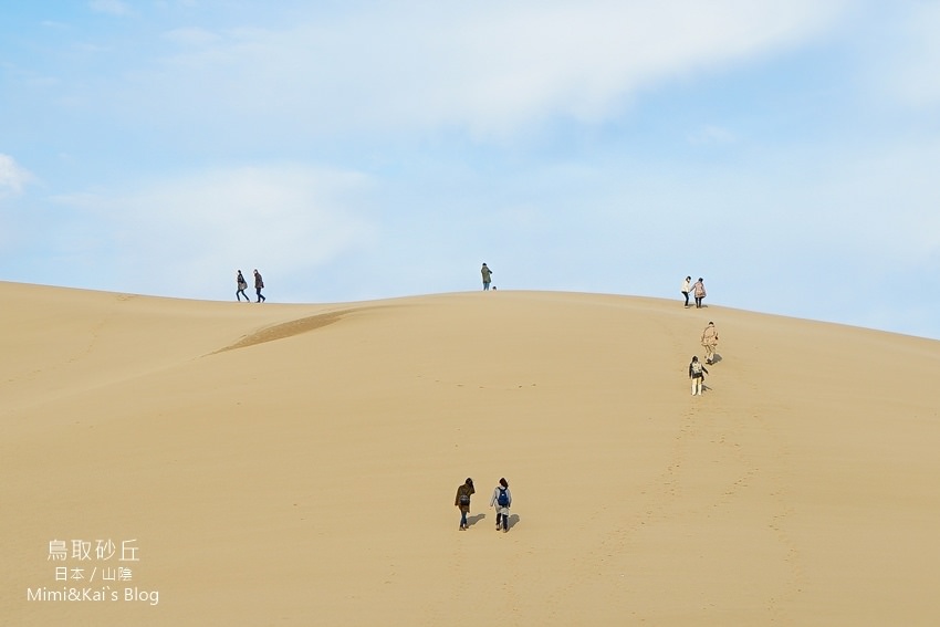 【山陰鳥取】鳥取砂丘(含交通資訊)：日本唯一沙漠！必玩騎駱駝與高濱咖啡店打卡去