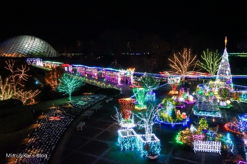 【鳥取景點】鳥取花迴廊：西日本最大花卉公園，冬季聖誕點燈閃亮登場！