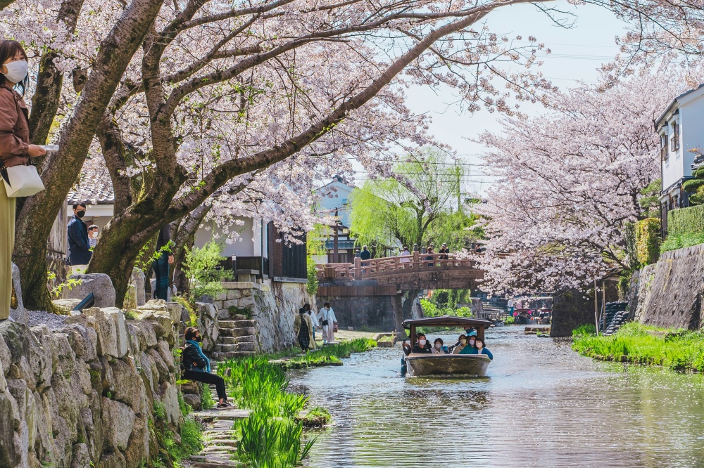 【2025近江八幡一日遊】必玩七大景點，水鄉古城與琵琶湖美景交融！