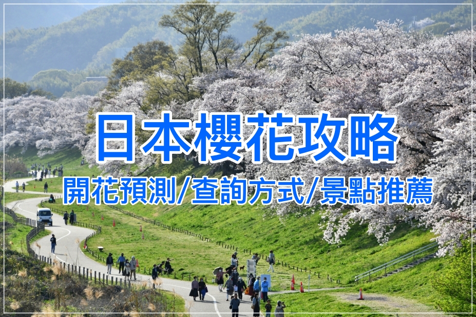 【2025日本賞櫻攻略】最新日本櫻花預測、滿開時間與各地賞櫻必去指南！