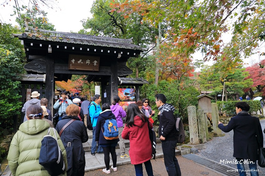 京都嵐山楓葉-39.jpg