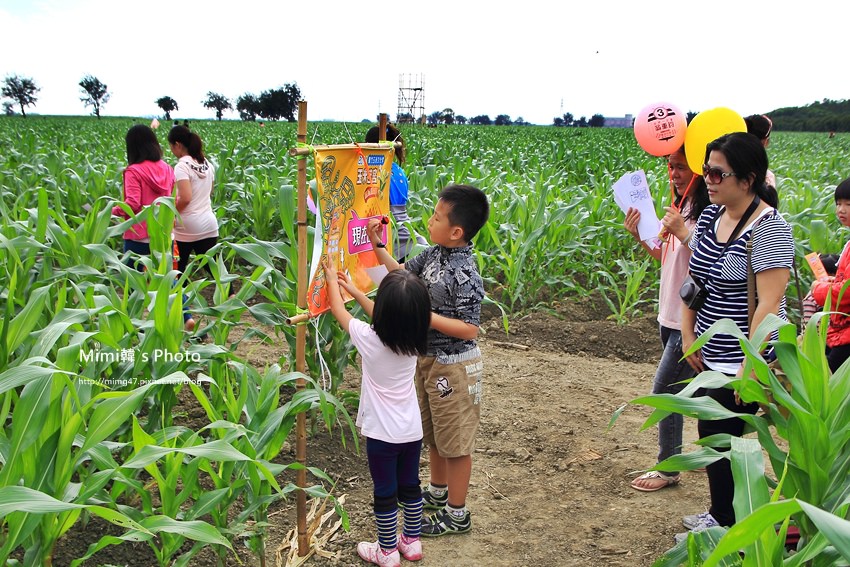 義竹玉米文化季33.JPG