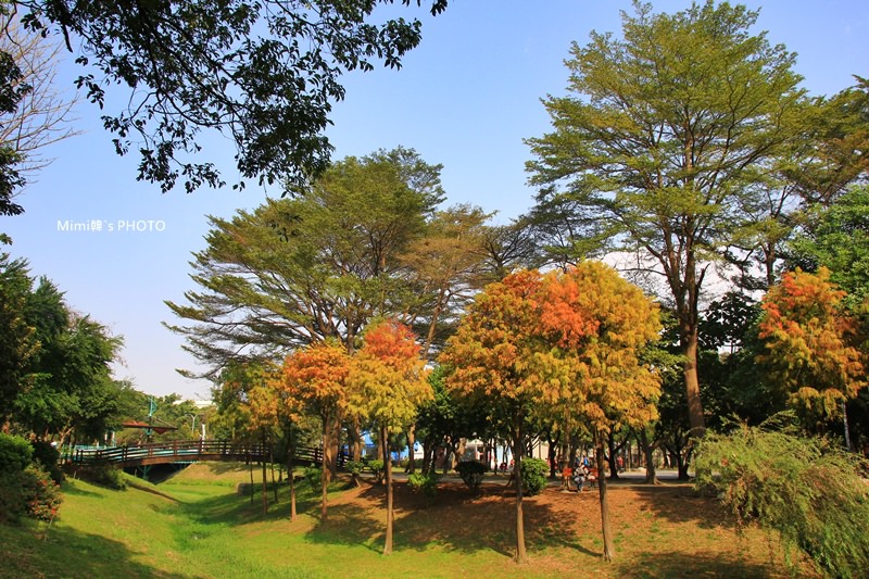 巴克禮公園1.JPG