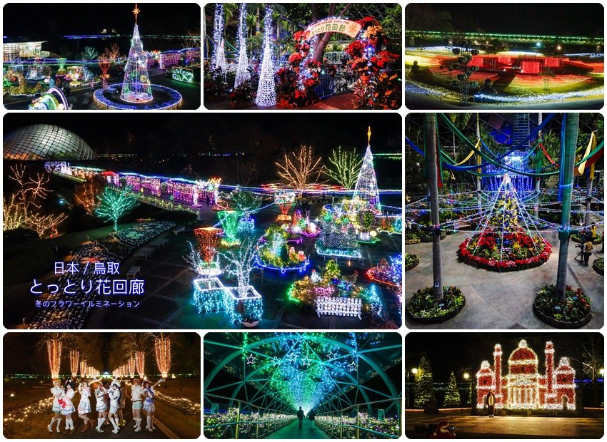 【鳥取景點】必遊！鳥取花迴廊（とっとり 花回廊）冬季聖誕點燈開催中，暢遊日本最大花卉公園。