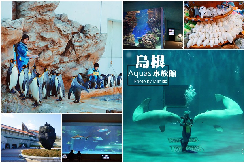 【島根療癒景點】島根Aquas水族館：與超可愛小白鯨水中互動。沒錯我就是水族館控～