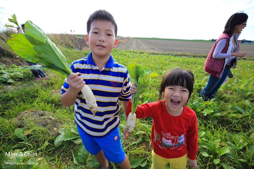 【台南景點】學甲x鹽分地帶小旅行：拔蘿蔔種蔬菜，帶小人兒來志佳園當一日小農夫吧~