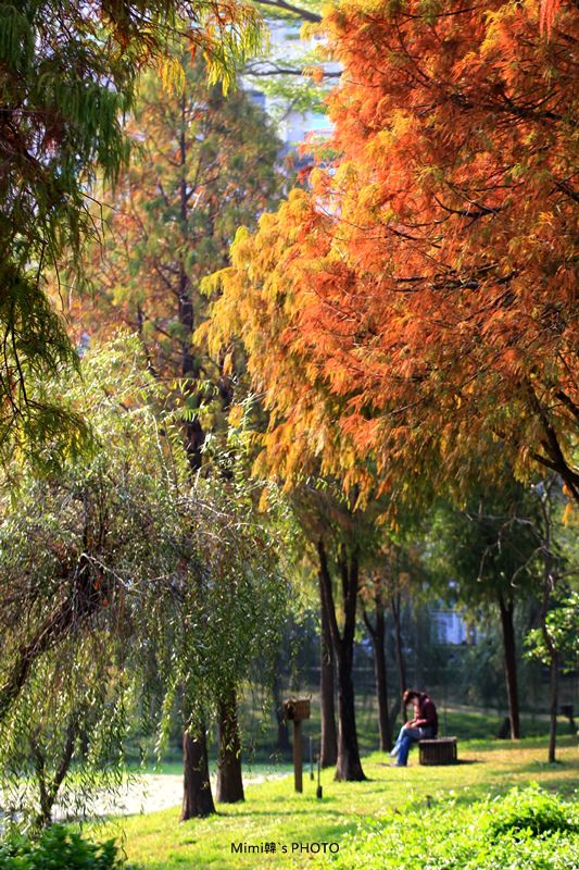 【台南．東區】巴克禮紀念公園：繁忙都市中難得的閒適景色，讓人幻想來到國外了呢~